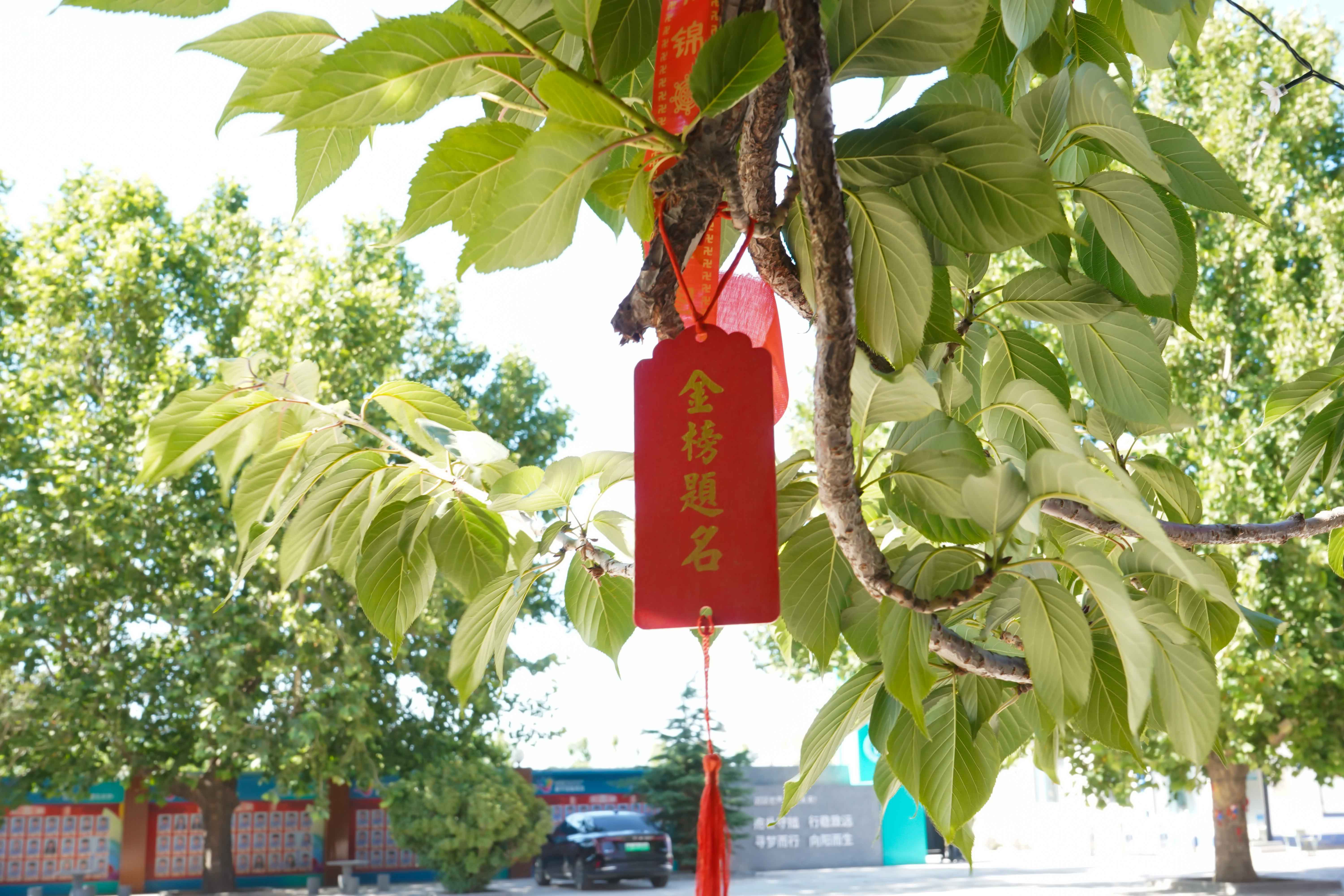 daojishi10-52.jpg